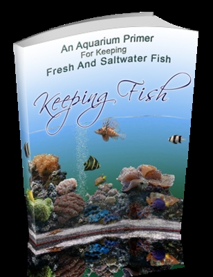 Product picture *NEW* How to Keeping Fish (PLR)