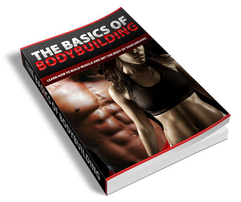 Product picture *NEW EDITION* Basics Of Body Building (PLR)