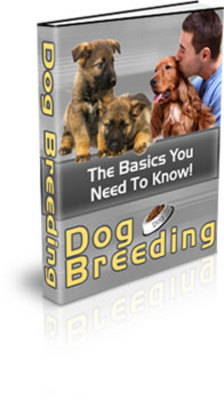 Product picture *NEW* Dog Breeding (PLR)